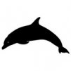 Black_Dolphin