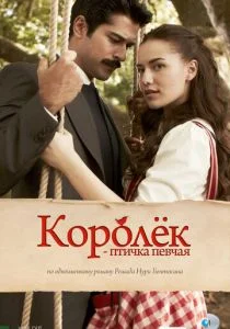 Королёк — птичка певчая (2013)