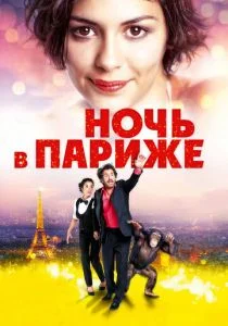 Ночь в Париже (2016)