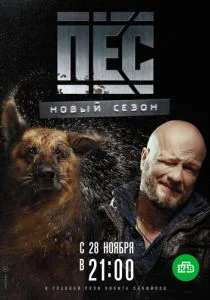 Пес (сериал, 2015)