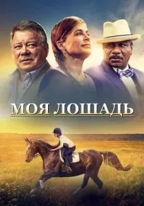 Моя лошадь (2016) Моя лошадь (2016)