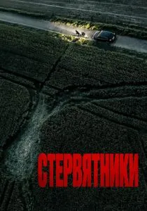 Стервятники (2025) Стервятники (2025)